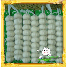 wholesale normal white garlic in mesh bag